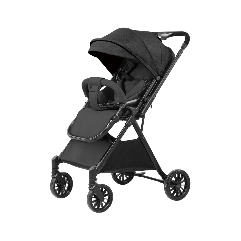 Two-way Stroller