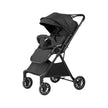 Two-way Stroller